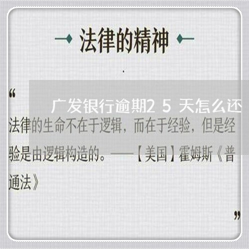 广发银行逾期25天怎么还/2023060549392