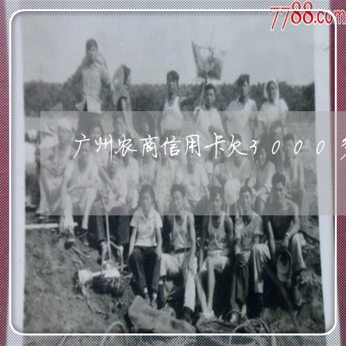 广州农商信用卡欠3000多