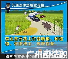 广州司法职业学校分数