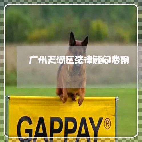 广州天河区法律顾问费用/2023061846069