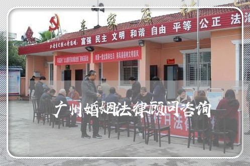 广州婚姻法律顾问咨询/2023061860595