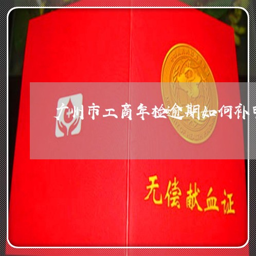广州市工商年检逾期如何补申报/2023062946693