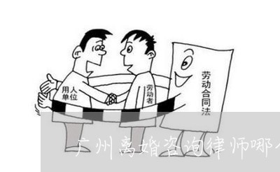 广州离婚咨询律师哪个好 广州离婚咨询律师哪个好