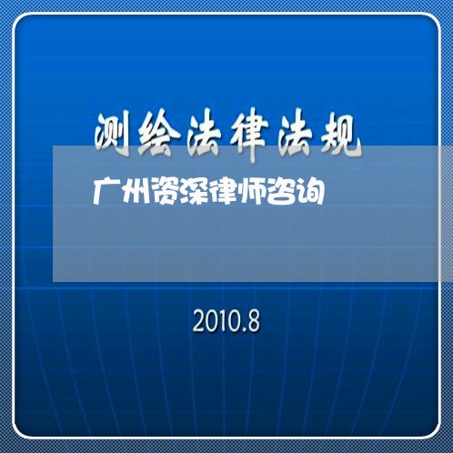 广州资深律师咨询 广州资深律师咨询