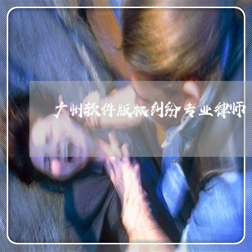 广州软件版权纠纷专业律师