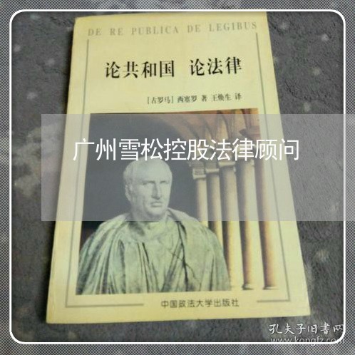 广州雪松控股法律顾问/2023061796935