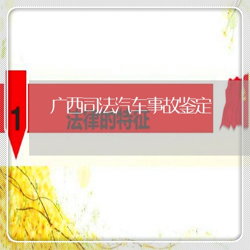 广西司法汽车事故鉴定 广西司法汽车事故鉴定