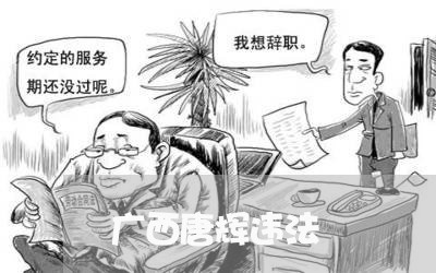 广西唐辉违法 广西唐辉违法