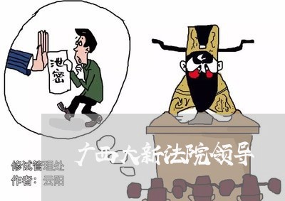 广西大新法院领导 广西大新法院领导