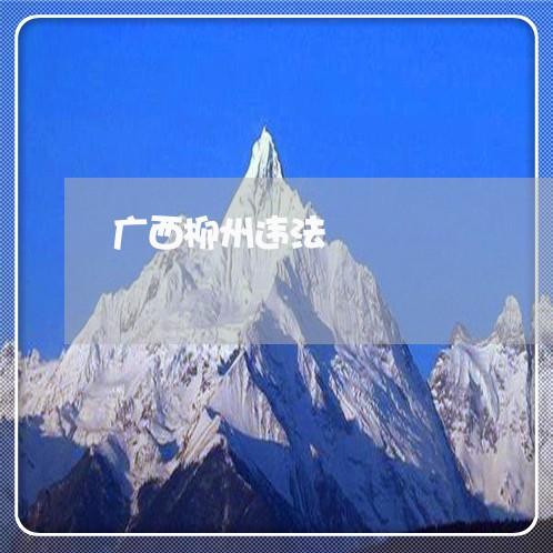 广西柳州违法