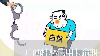 广西桂林信用卡逾期一千多/2023041896258