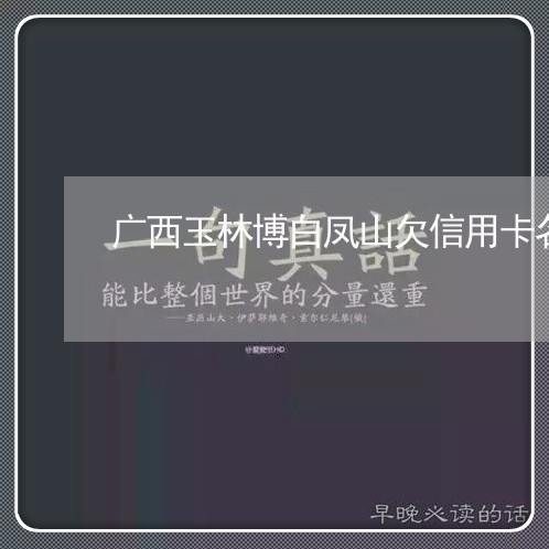 广西玉林博白凤山欠信用卡名单 广西玉林博白凤山欠信用卡名单