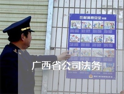 广西省公司法务 广西省公司法务
