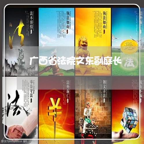 广西省法院文东副庭长 广西省法院文东副庭长