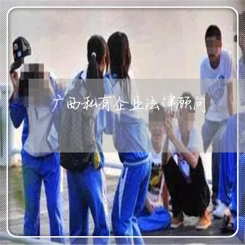 广西私有企业法律顾问/2023061817272 广西私有企业法律顾问/2023061817272
