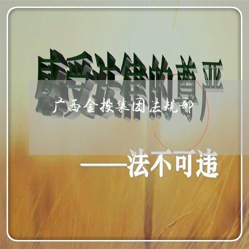 广西金投集团法规部 广西金投集团法规部