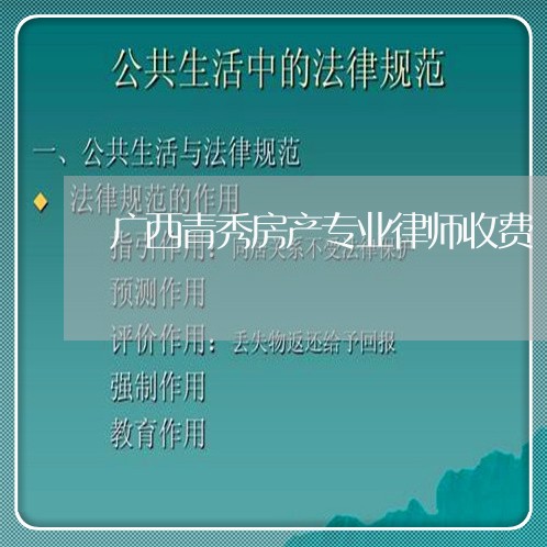 广西青秀房产专业律师收费