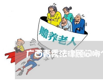 广西青秀法律顾问哪个好/2023061906126