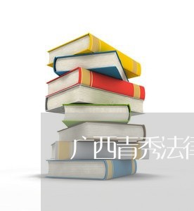广西青秀法律顾问法律服务/2023061884827 广西青秀法律顾问法律服务/2023061884827