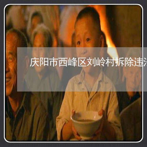 庆阳市西峰区刘岭村拆除违法建筑 庆阳市西峰区刘岭村拆除违法建筑