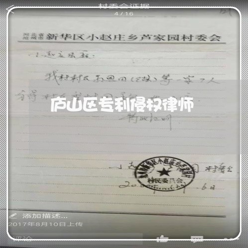 庐山区专利侵权律师