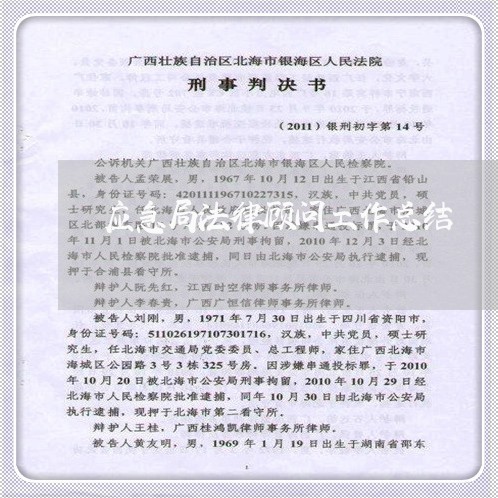 应急局法律顾问工作总结/2023061993917