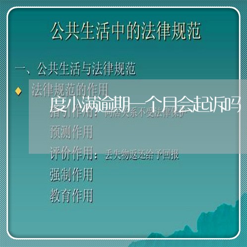 度小满逾期一个月会起诉吗