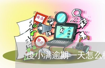 度小满逾期一天怎么样