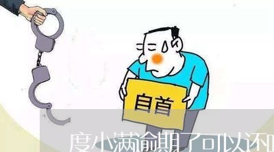 度小满逾期了可以还吗