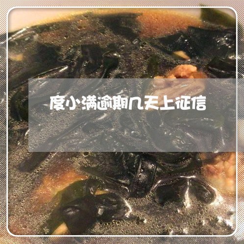 度小满逾期几天上征信/2023022475026 度小满逾期几天上征信/2023022475026