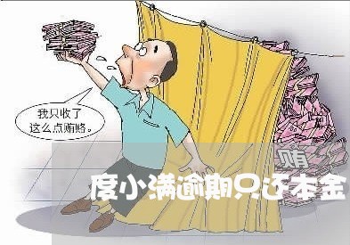 度小满逾期只还本金