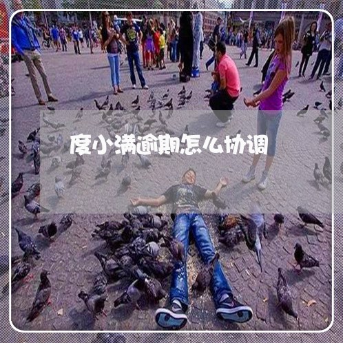 度小满逾期怎么协调