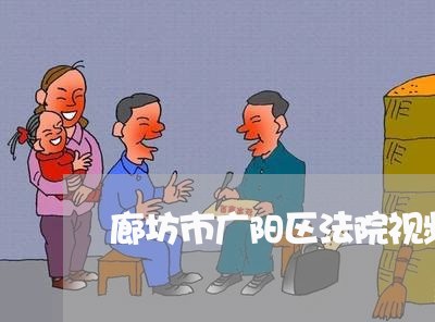 廊坊市广阳区法院视频