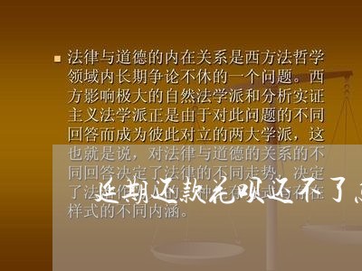 延期还款花呗还不了怎么办呢/2023061756279