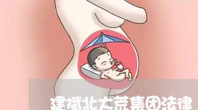 建斌北大荒集团法律