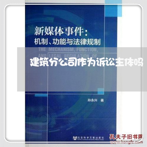 建筑分公司作为诉讼主体吗