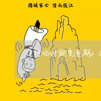 建行临时额度逾期20天
