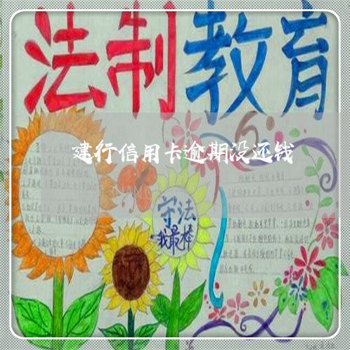 建行信用卡逾期没还钱/2023061782475
