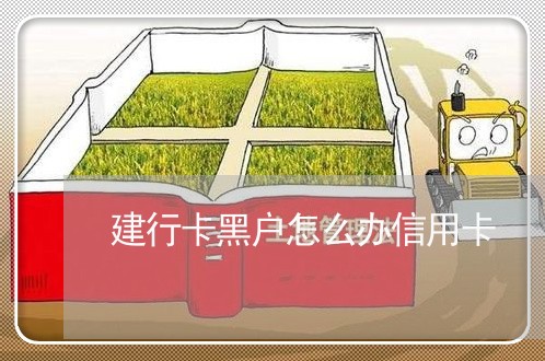 建行卡黑户怎么办信用卡 建行卡黑户怎么办信用卡