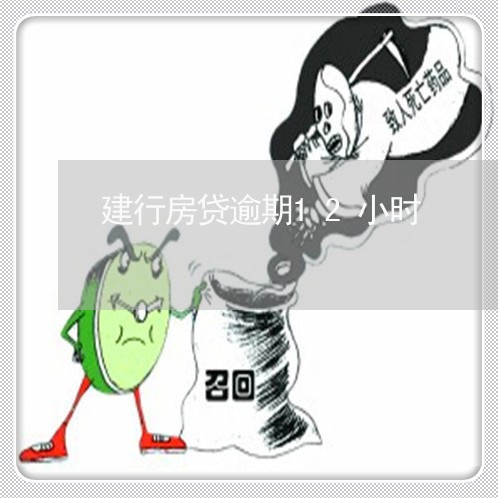 建行房贷逾期12小时