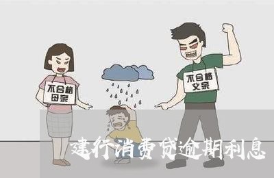 建行消费贷逾期利息