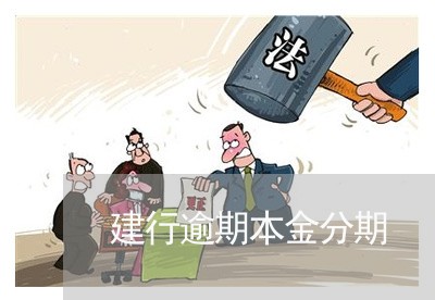 建行逾期本金分期