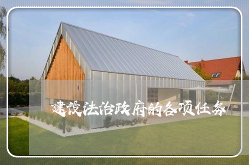 建设法治政府的各项任务
