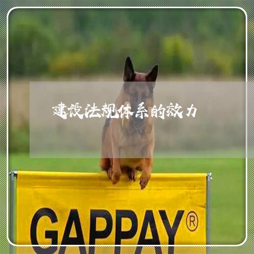 建设法规体系的效力 建设法规体系的效力