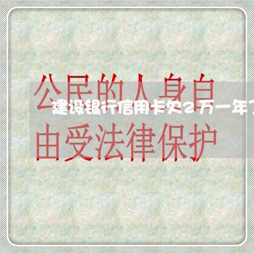 建设银行信用卡欠2万一年了 建设银行信用卡欠2万一年了