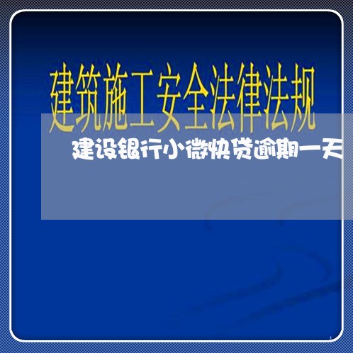 建设银行小微快贷逾期一天/2023032651615