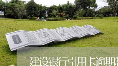 建设银行引用卡逾期怎么办/2023042304816