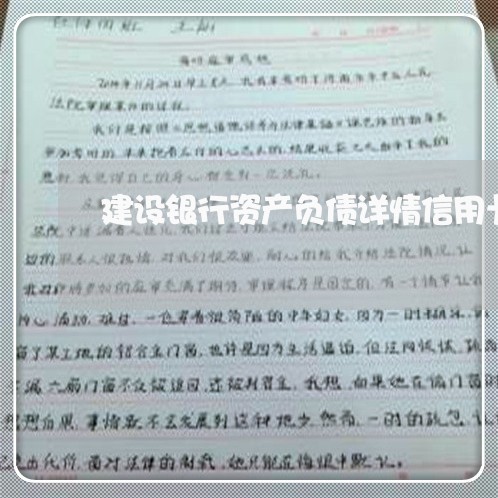 建设银行资产负债详情信用卡透支 建设银行资产负债详情信用卡透支