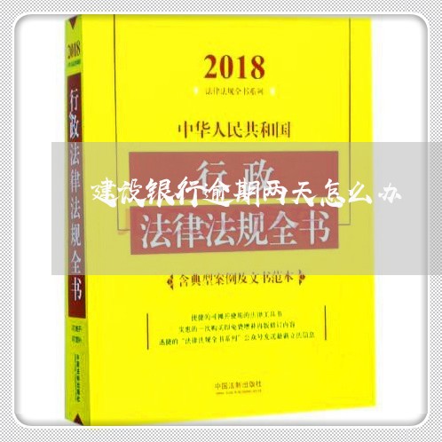 建设银行逾期两天怎么办/2023062150714