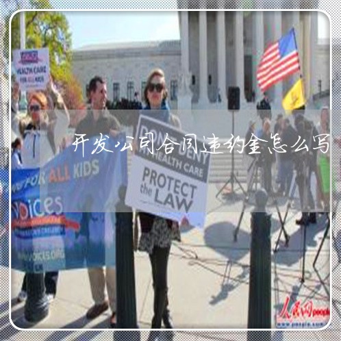 开发公司合同违约金怎么写/2023060208206 开发公司合同违约金怎么写/2023060208206